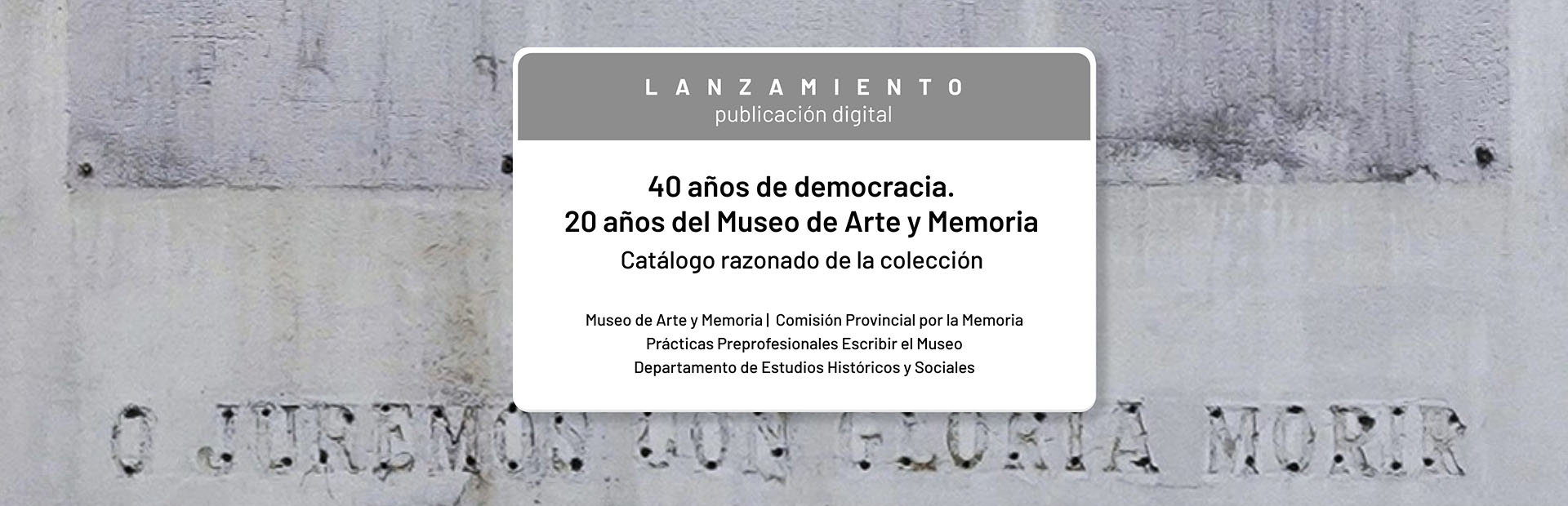 Lanzamiento Catalogo Mam